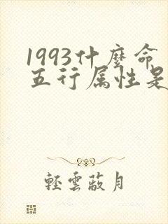 1993什么命五行属性是什么