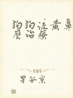 狗狗流黄鼻涕怎么治疗