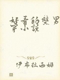 好看的双男主快穿小说封面