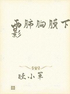 两肺胸膜下条索影封面