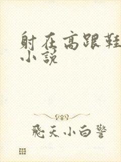 射在高跟鞋里的小说