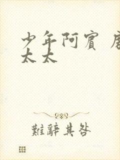 少年阿宾 房东太太封面