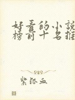 好看的小说排行榜前十名推荐封面