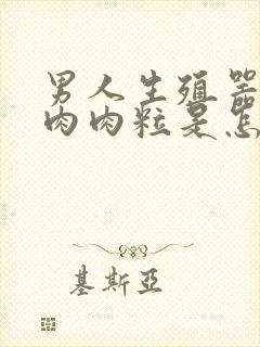 男人生殖器长小肉肉粒是怎么回事