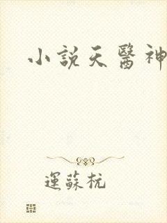 小说天医神凰