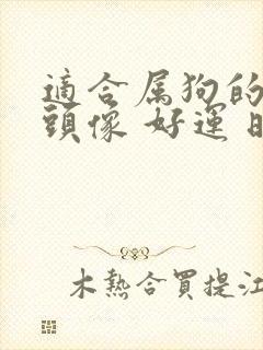 适合属狗的微信头像 好运 旺财封面