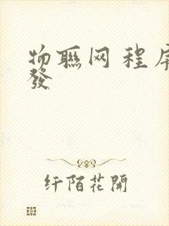 物联网 程序开发