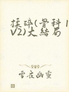 揉碎(骨科 1V2)大结局