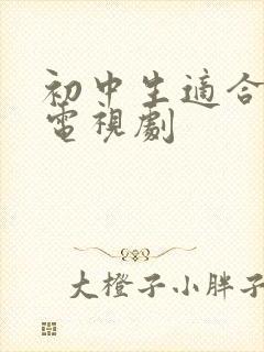 初中生适合看的电视剧封面