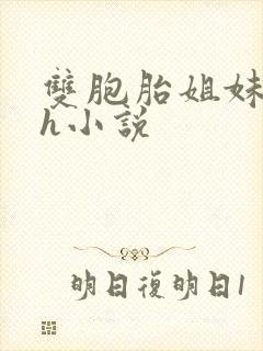 双胞胎姐妹还债h小说封面