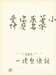 爱你原著小说叫什么名字