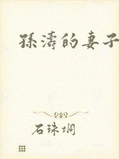 孙涛的妻子照片封面