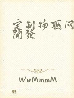 定制物联网软件开发封面