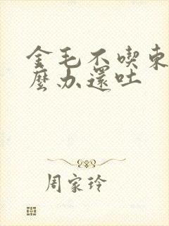 金毛不吃东西怎么办还吐