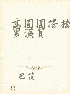 高圆圆搭档过的男演员