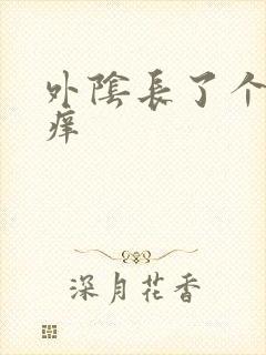 外阴长了个包疼痒