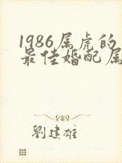 1986属虎的最佳婚配属相