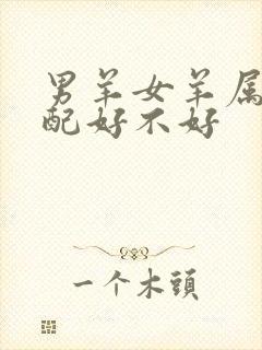 男羊女羊属相婚配好不好