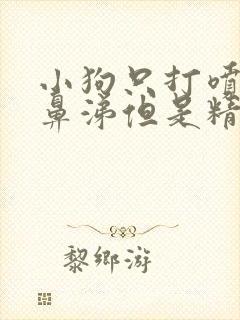 小狗只打喷嚏流鼻涕但是精神很好封面