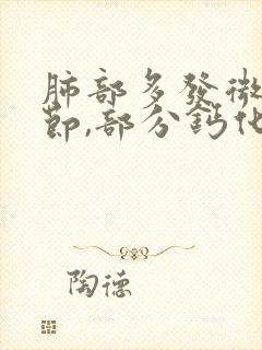 肺部多发微小结节,部分钙化