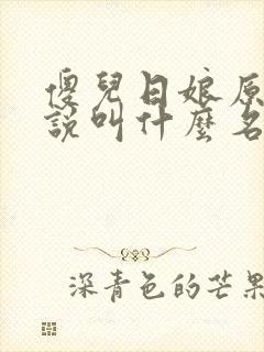 傻儿日娘原著小说叫什么名字