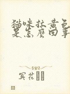 猫咪拉黄色的尿是怎么回事