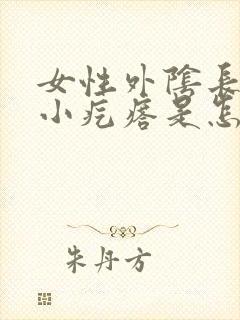 女性外阴长了个小疙瘩是怎么回事