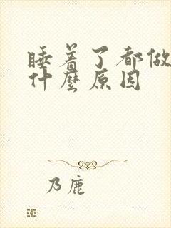 睡着了都做梦是什么原因