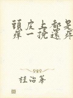 头皮上都是疙瘩痒一挠还疼