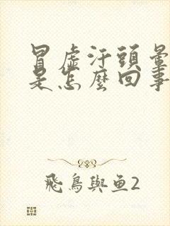 冒虚汗头晕想吐是怎么回事