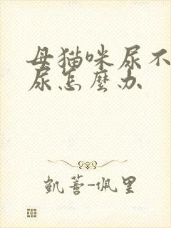 母猫咪尿不出来尿怎么办