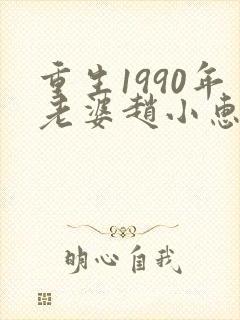 重生1990年老婆赵小惠的小说