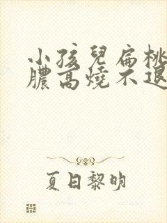 小孩儿扁桃体化脓高烧不退怎么办封面