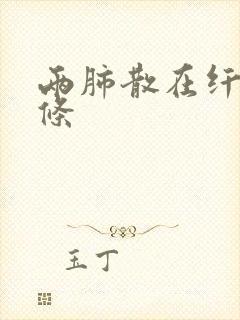 两肺散在纤维索条