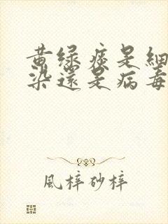 黄绿痰是细菌感染还是病毒感染