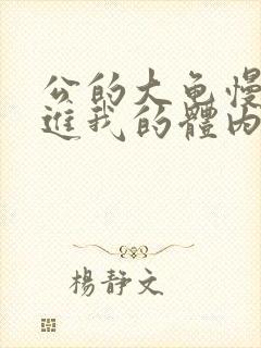 公的大龟慢慢挺进我的体内