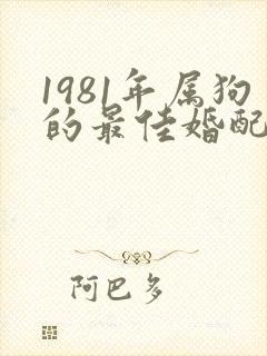 1981年属狗的最佳婚配