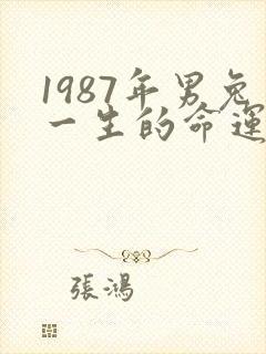 1987年男兔一生的命运