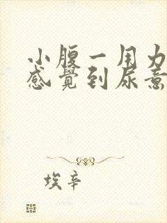 小腹一用力就能感觉到尿意