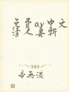 免费av中文高清人妻斩