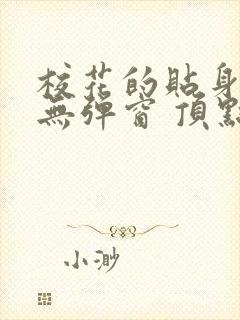 校花的贴身高手无弹窗 顶点小说封面