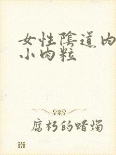 女性阴道内口长小肉粒