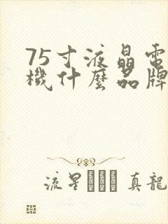 75寸液晶电视机什么品牌质量好