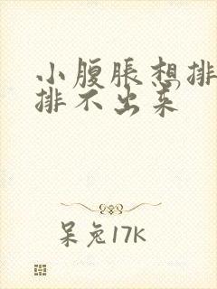 小腹胀想排便又排不出来