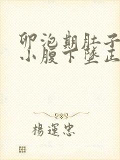 卵泡期肚子胀痛小腹下坠正常吗