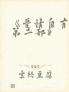 《爱情自有天意第二部》封面