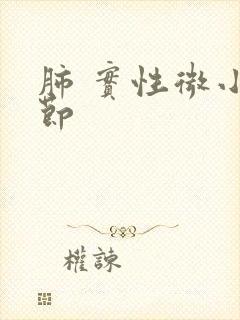 肺 实性微小结节