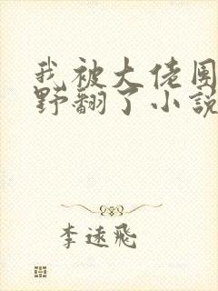 我被大佬团宠后野翻了小说