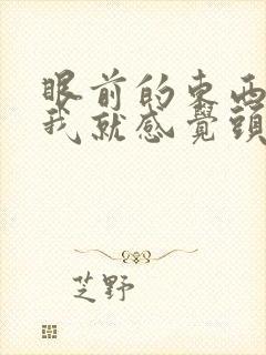 眼前的东西晃动我就感觉头晕