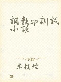 调教sp训诫类小说